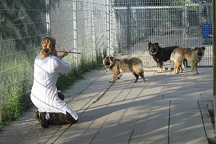 Dr. Tina Hölscher schießt mit dem Blasrohr